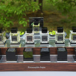 Fragrance | Essenze Collection